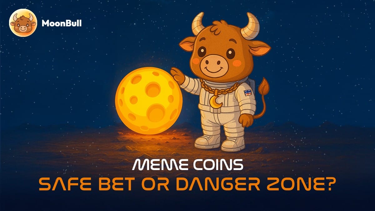 Are Meme Coins Safe?
